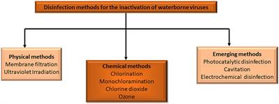 A review on disinfection methods for inactivation of waterborne viruses